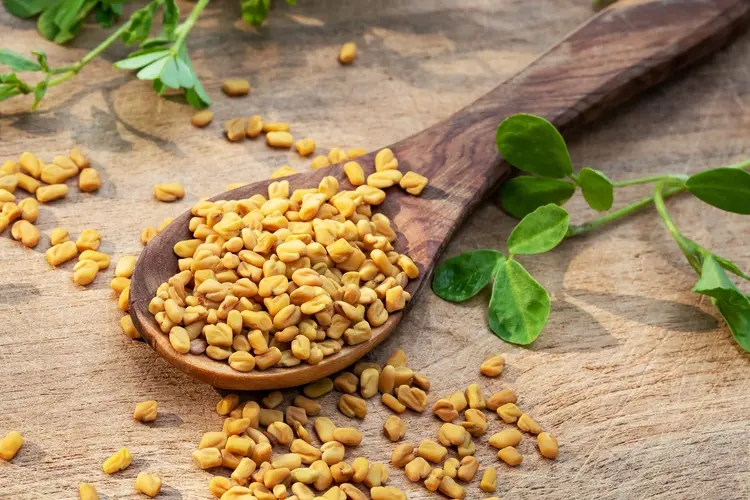 Fenugreek Seeds